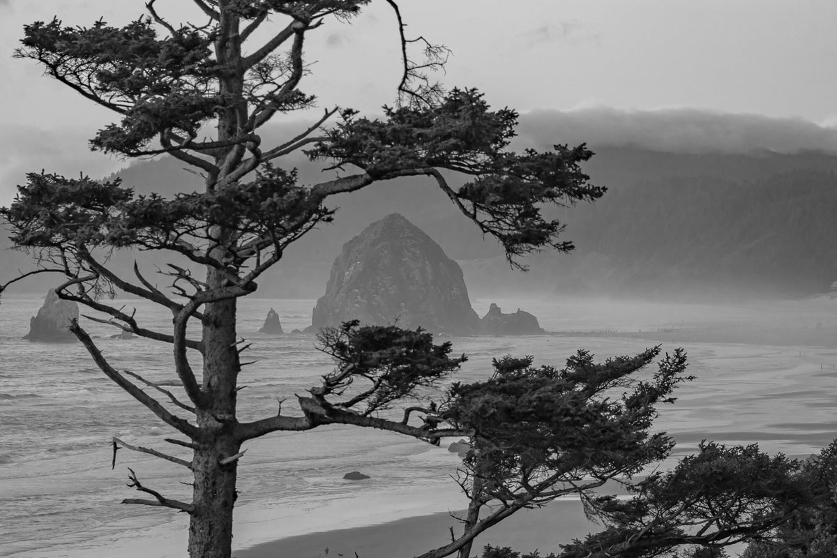 Cannon Beach (BW)