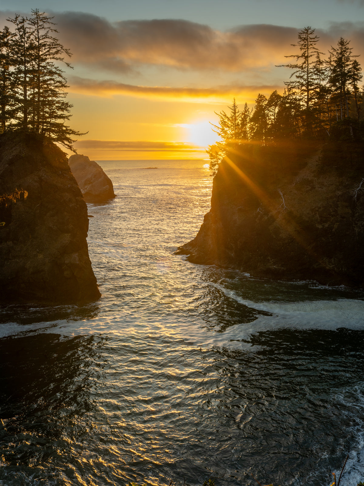Summer Sunset